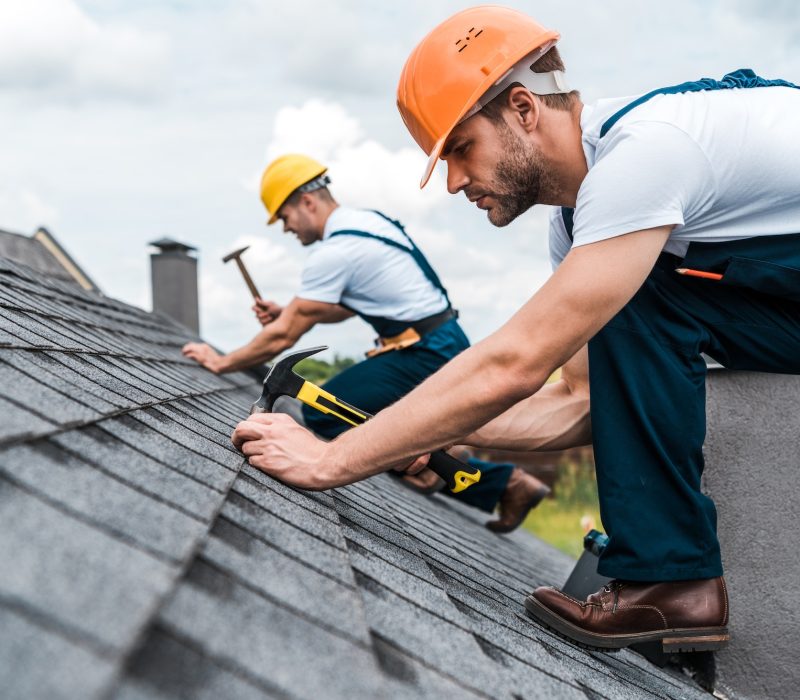 Roofing Contractor 850 Property Services Inc in Panama City